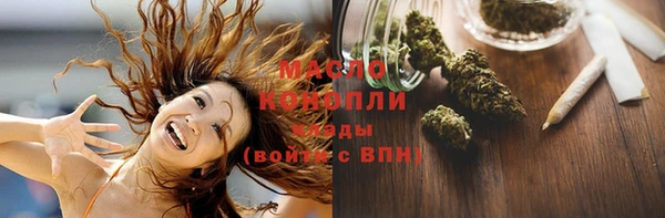МДПВ Бородино