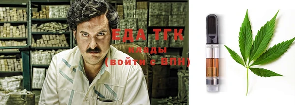 МДПВ Бородино