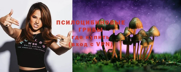 соль ск Богородицк
