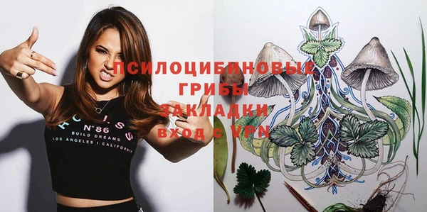 МДПВ Бородино