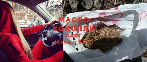 МДПВ Бородино