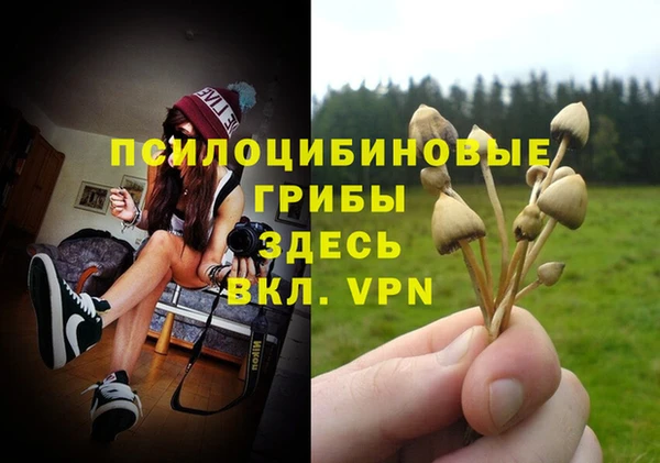 Альфа ПВП Богданович