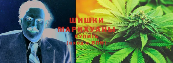 МДПВ Бородино